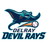 Delray Devil Rays